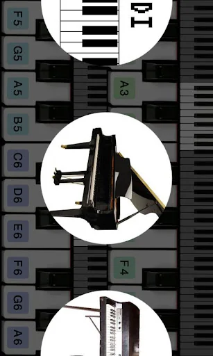 Piano For You screenshot 4