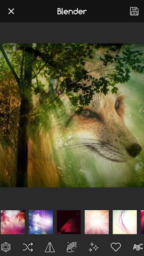 Sparkle Overlay Photo App
