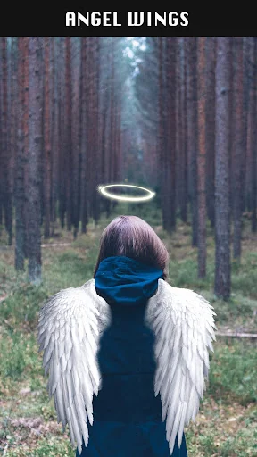 Wings for Photos: Angel Maker