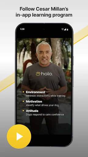Halo Collar screenshot 3