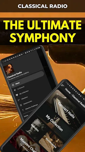 Classical Music Radio Live screenshot 1