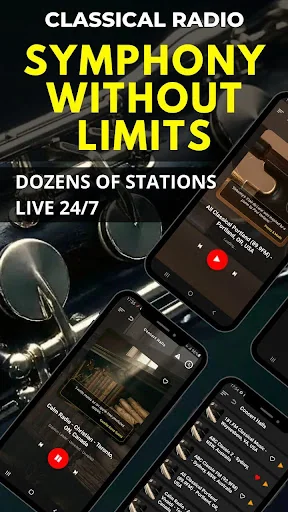Classical Music Radio Live screenshot 2