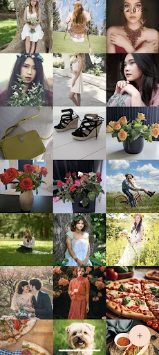 Image Viewer