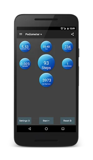 Pedometer Plus