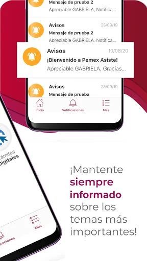 Pemex ASISTE screenshot 3