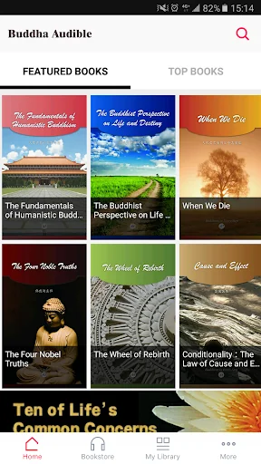 Master Hsing Yun's Audio Book