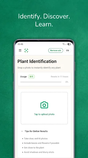 Plant identifier from photo