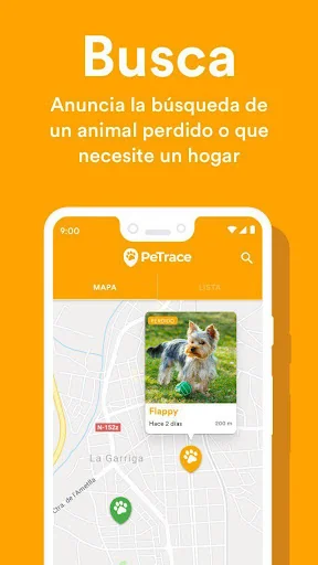 PeTrace - Lost Pets