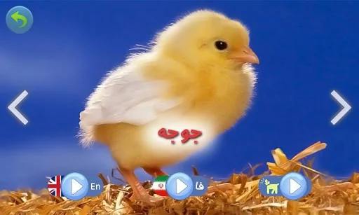Animal Sounds for Kids screenshot 2