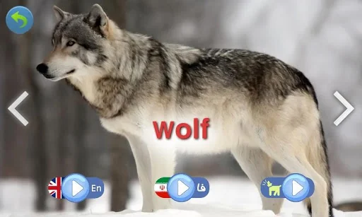 Animal Sounds for Kids screenshot 3