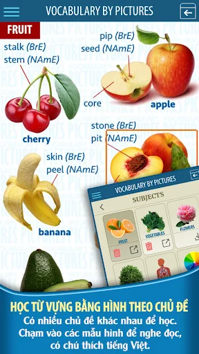 English Study PROMAX screenshot 4