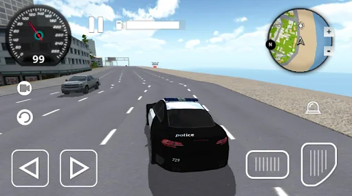 Police Car City Driving