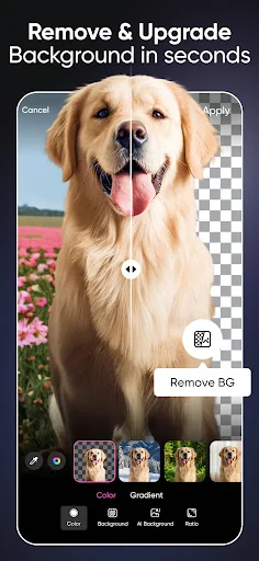 Picsart AI Photo Editor, Video screenshot 4