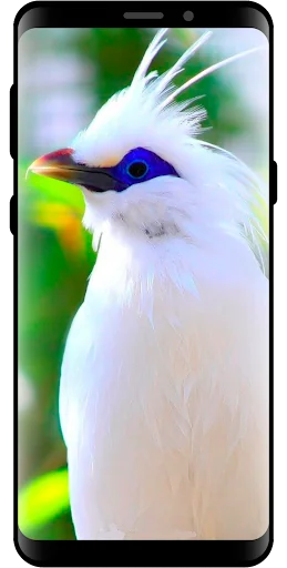 10000 Nature Wallpapers PRO screenshot 1