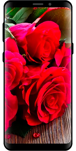 10000 Nature Wallpapers PRO screenshot 3