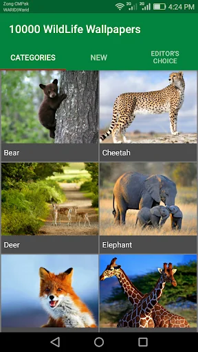 10000 Wild Animals Wallpapers screenshot 1