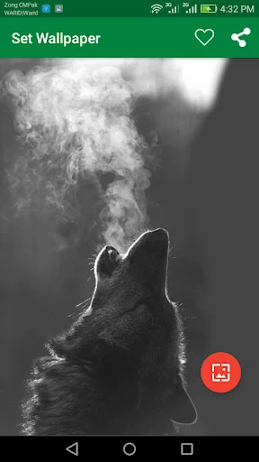 10000 Wild Animals Wallpapers screenshot 4