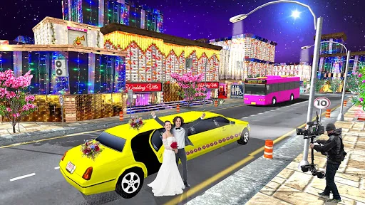 Luxury Wedding Limousin Game