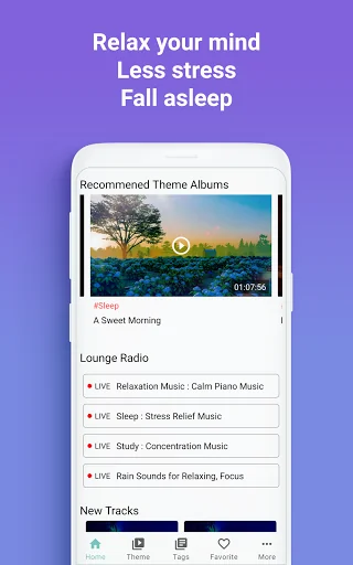 Relax Radio: Piano,Relax,Study