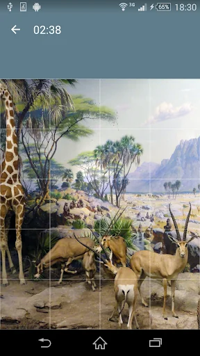Jigsaw Puzzle: Animals screenshot 3