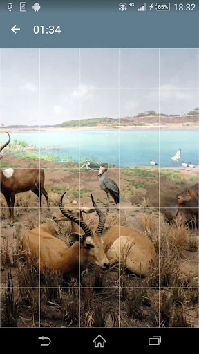 Jigsaw Puzzle: Animals screenshot 4