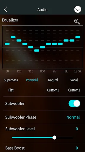 Pioneer ARC screenshot 2