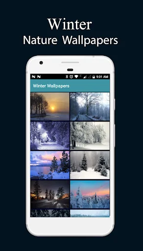 8000 Nature Wallpapers 2024
