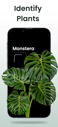 Plant Identifier: Plantiary