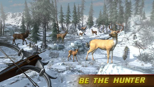 Stag Hunter 3D:Crossbow Safari