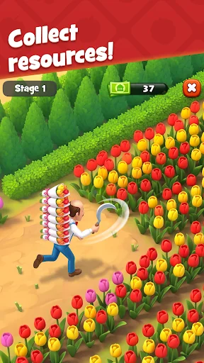 Gardenscapes