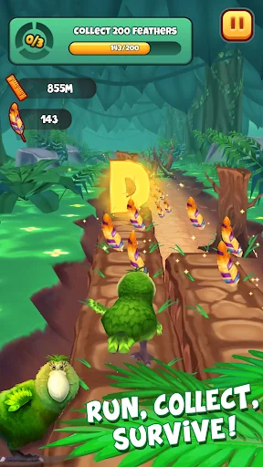 Kakapo Run