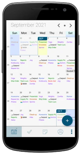 Pocket Informant