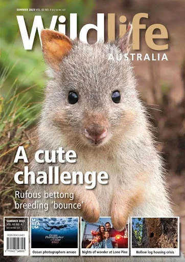 Wildlife Australia