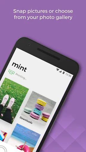 Mint