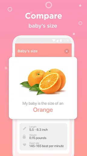 Pregnancy Tracker Week By Week screenshot 3