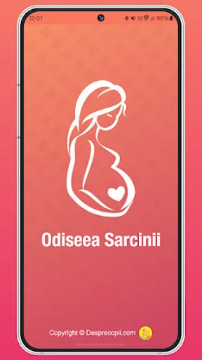Odiseea Sarcinii, Sarcina ta