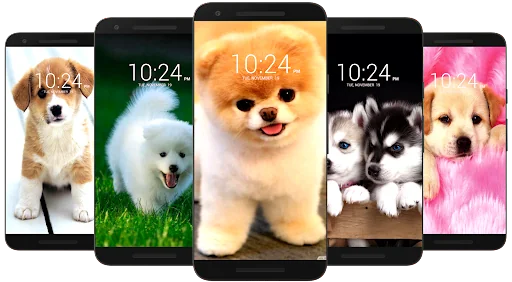 Dog Wallpaper HD screenshot 1