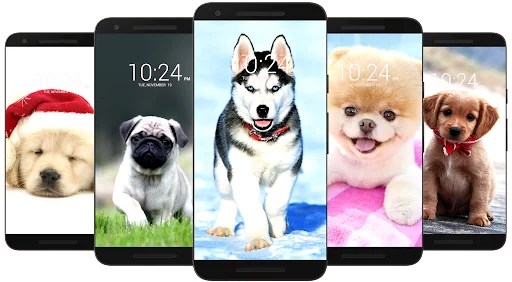 Dog Wallpaper HD screenshot 2