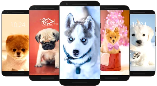 Dog Wallpaper HD screenshot 3