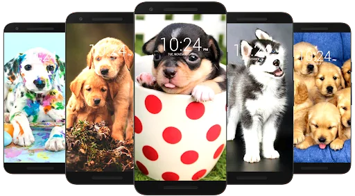 Dog Wallpaper HD screenshot 4