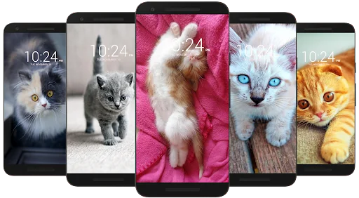Kitten & Cute Cat Wallpaper HD screenshot 1