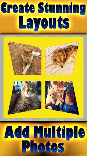 Premium Photo Collage Expert