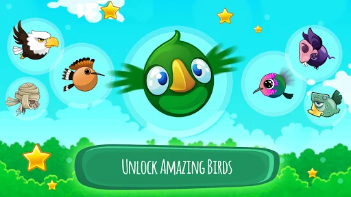 Bouncy Birds