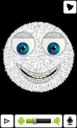 Talking Hairy Ball