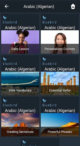 Learn Algerian Arabic. Speak A