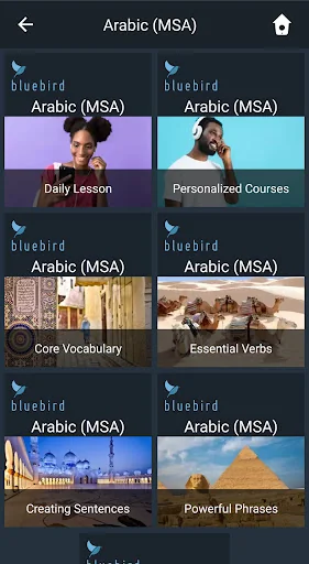 Learn MSA Arabic. Speak MSA Ar