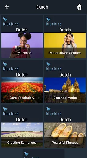Learn Dutch. Speak Dutch. Stud