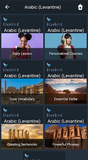 Learn Levantine Arabic. Speak 