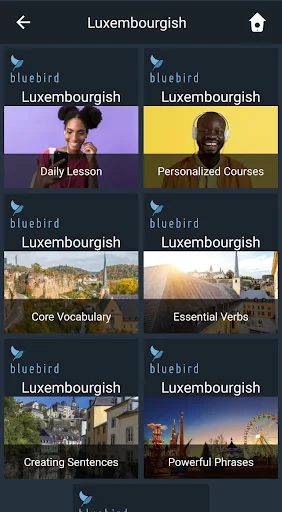 Learn Luxembourgish. Speak Lux