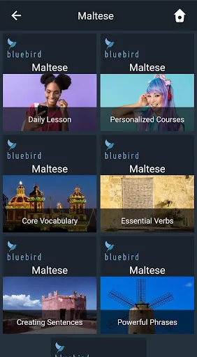 Learn Maltese. Speak Maltese. 